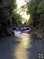 thn_NZ leden-unor 2006 236.jpg